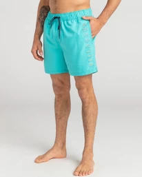 Billabong All Day Heritage Layback - Boardshort Pour Homme – Image 3